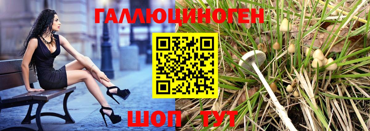 Галлюциногенные грибы Magic Shrooms Верхняя Пышма
