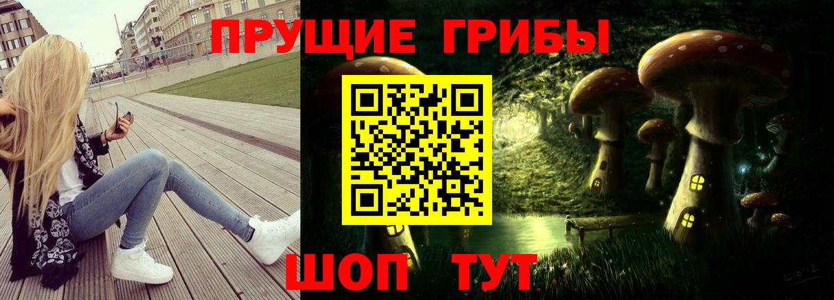 Верхняя Пышма  Галлюциногенные грибы прущие грибы  Галлюциногенные грибы ЛСД  Вход с VPN 