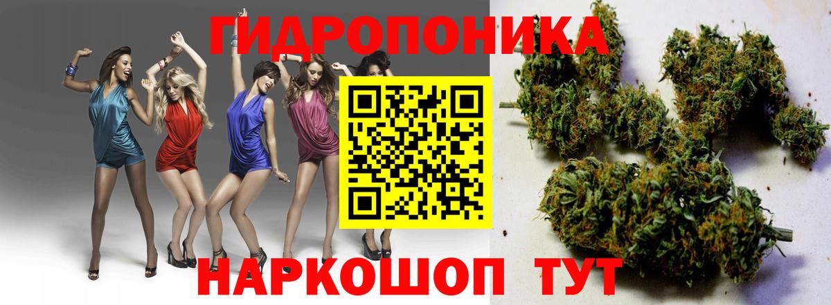 Бошки Шишки VHQ  Канабис конопля  Верхняя Пышма  Вход с VPN 